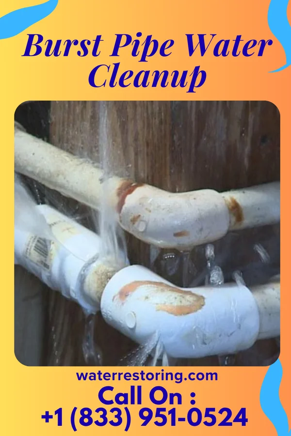 Burst Pipe Water Cleanup in Midway, KY