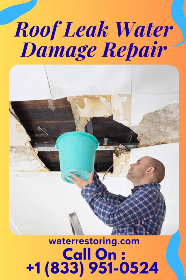 Roof Leak Water Damage Repair in Midway, KY